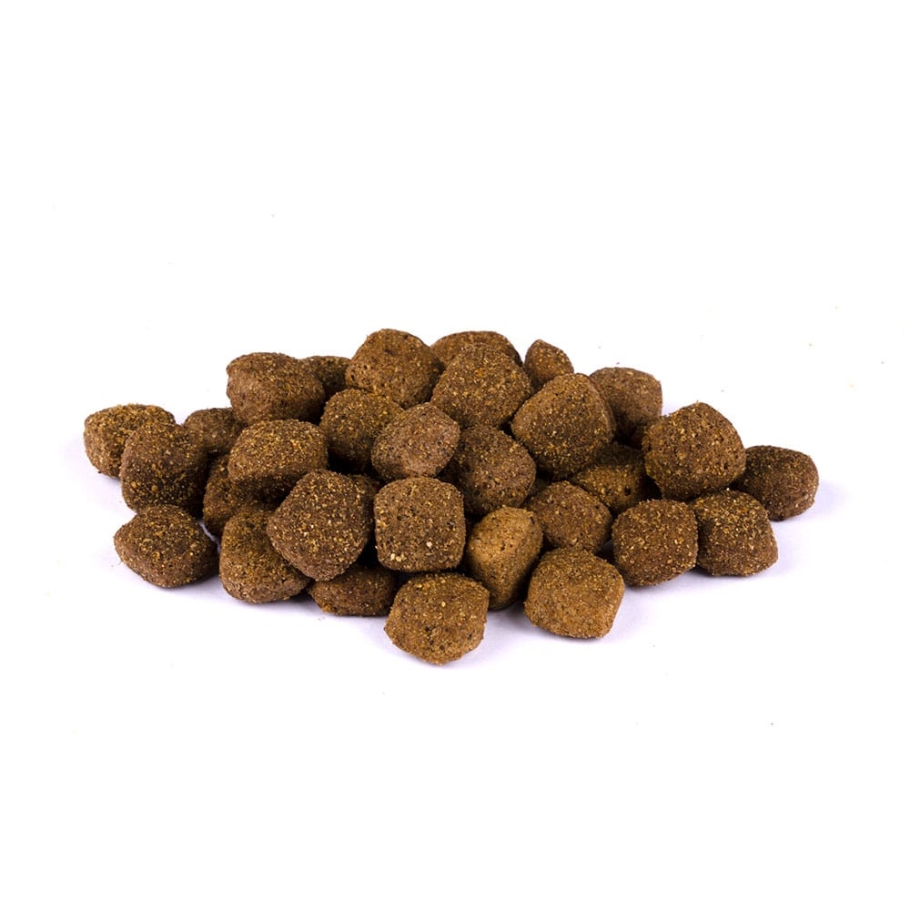 Allco Christopherus - für ältere Hunde - 1 x 4kg - 2