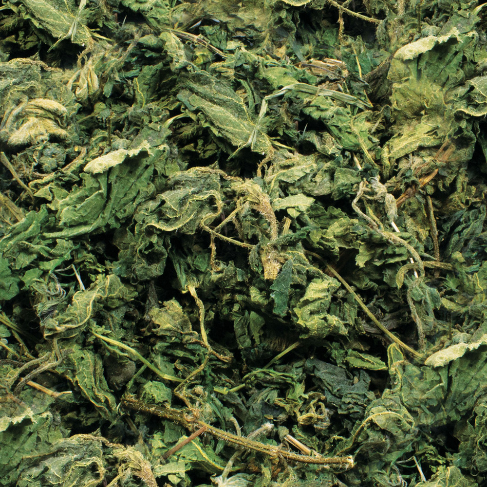 JR Farm - Brennnessel - 1 x 80g - 2