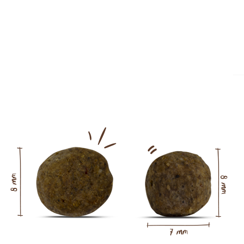Bosch - Mini Adult Geflügel 6 Hirse - 1 x 3kg - 2