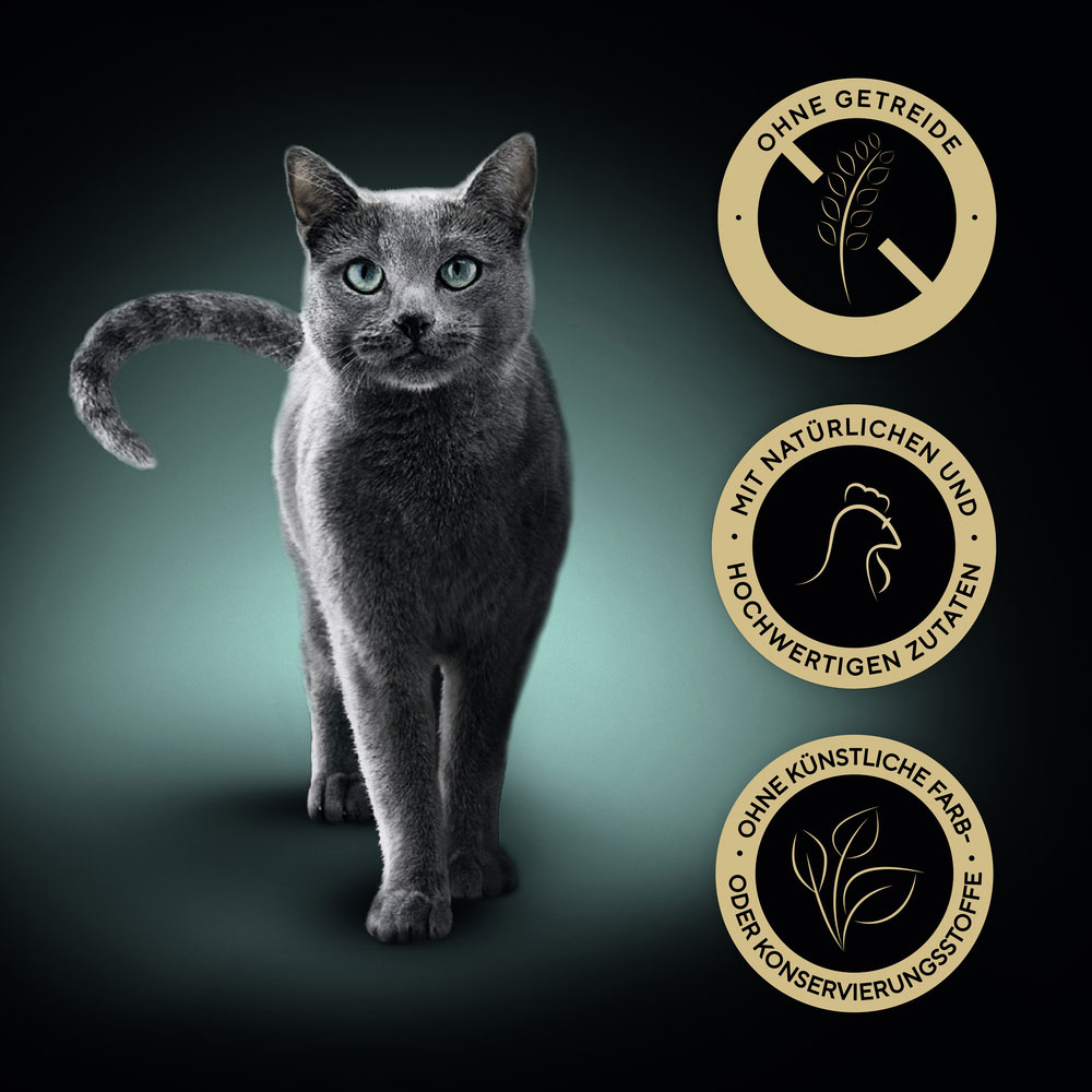 Sheba - Natures Collection in Sauce mit Huhn - 22 x 85g - 6