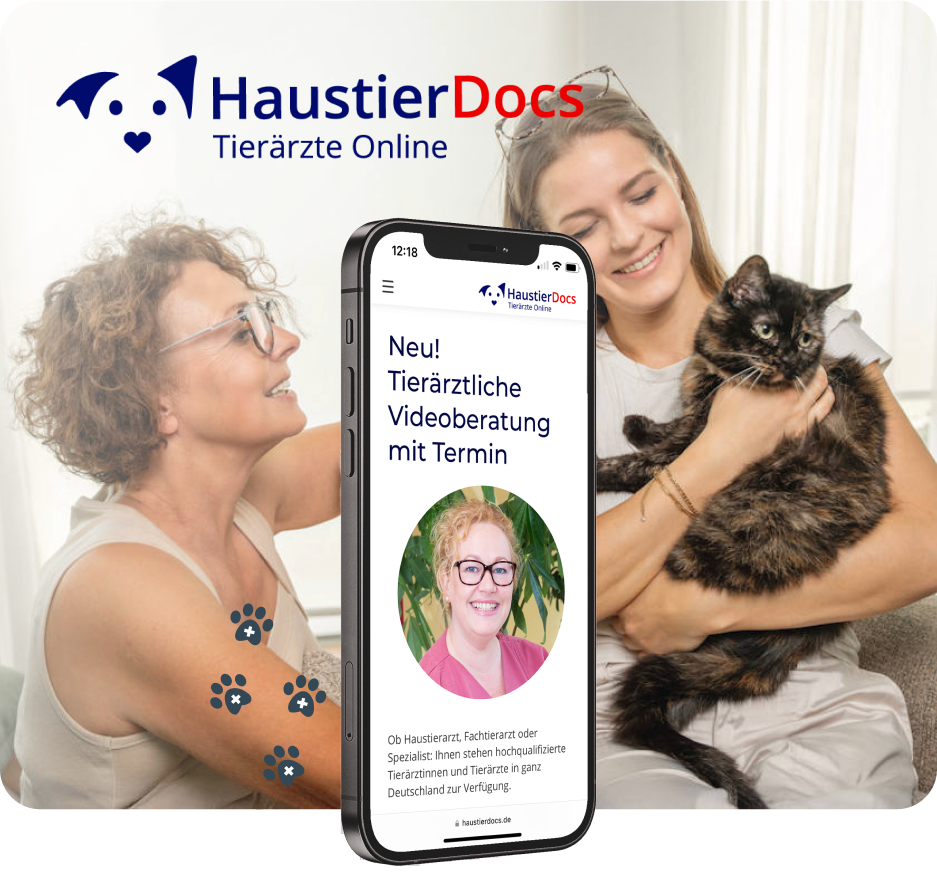 haustierdocs-szene-beratung-zwei-frauen-mit-katze