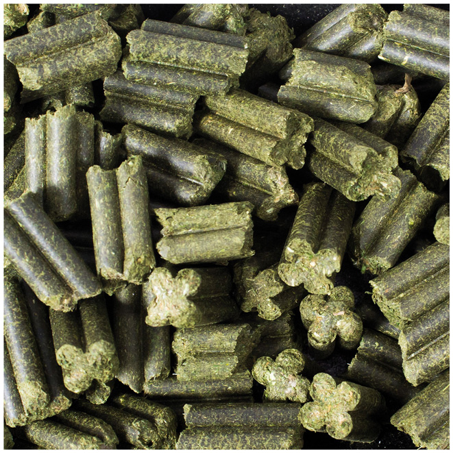 JR Farm - Quad-Bits Petersilie - 1 x 300g - 2