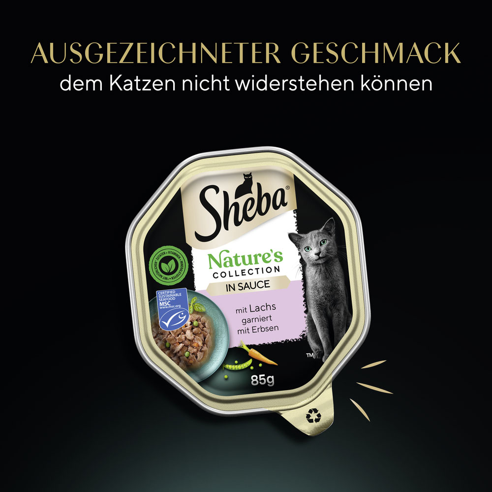 Sheba - Natures Collection in Sauce mit Lachs - 22 x 85g - 8