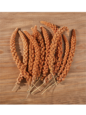 elles - Kolbenhirse rot 15kg - 1 x 15kg - 2