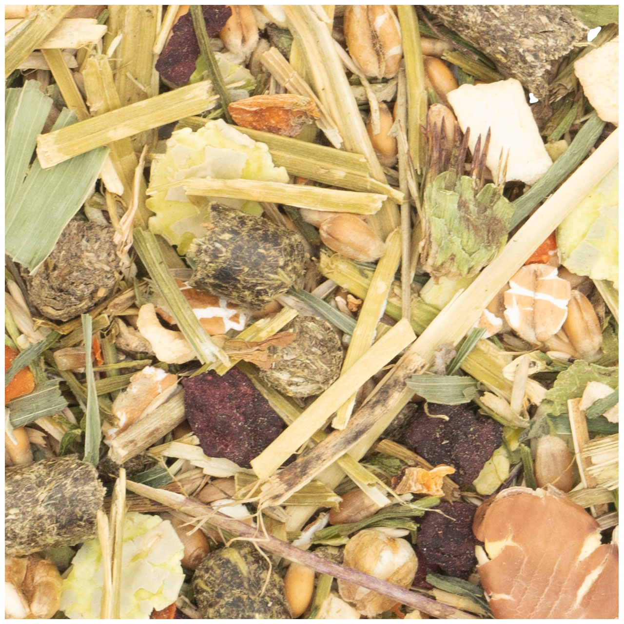 JR Farm - Degu-Schmaus - 1 x 800g - 2