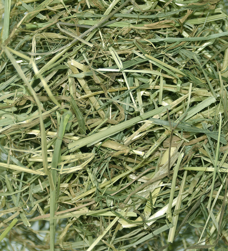 Chipsi - Sunshine Wiesenheu - 1 x 4kg - 2