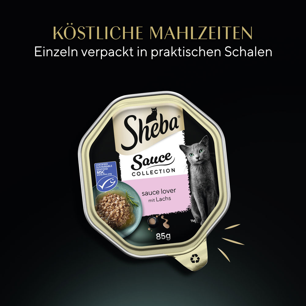 Sheba - Sauce Collection Lover mit Lachs (MSC) - 22 x 85g - 6