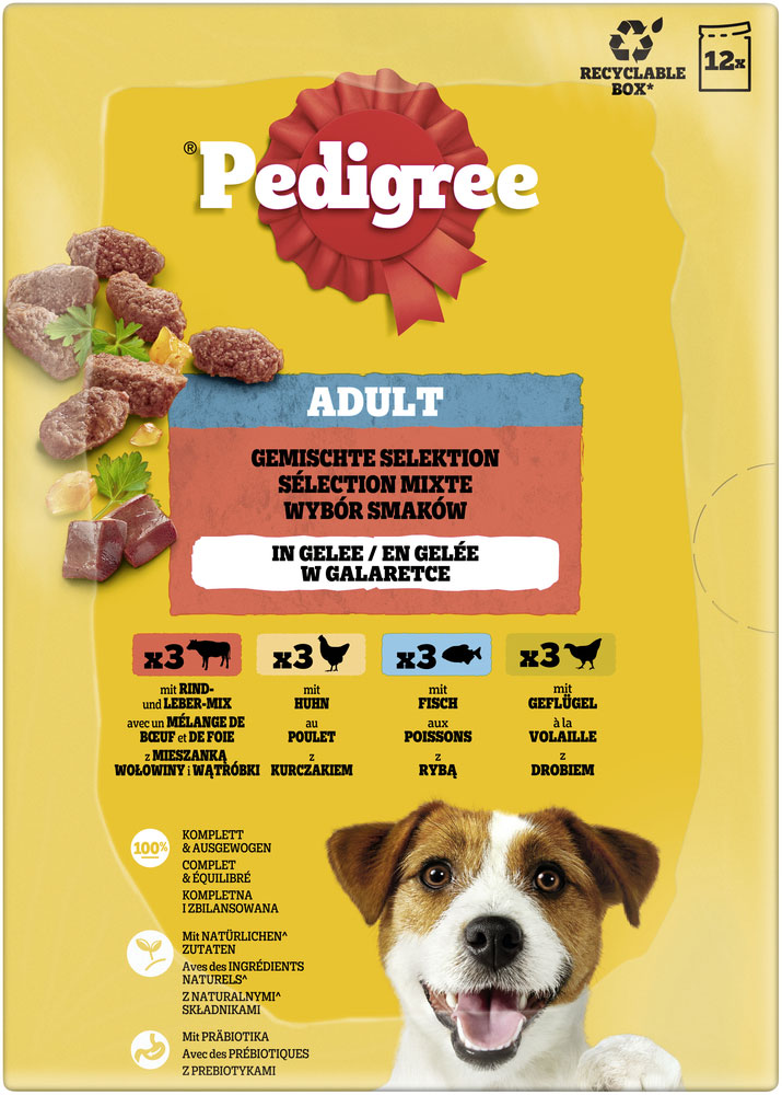 Pedigree - Multipack gemischte Selektion in Gelee - 1 x 12X100g - 5