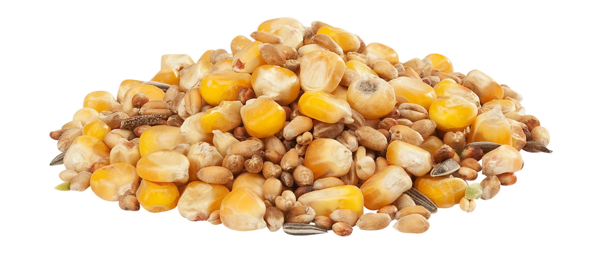 Country's Best - GRA-Mix Hennen Mischung - 1 x 20kg - 2