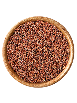 elles - Milokorn 25kg - 1 x 25kg - 2