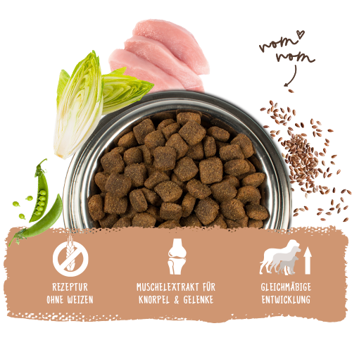 Bosch - Adult Maxi - 1 x 15kg - 6