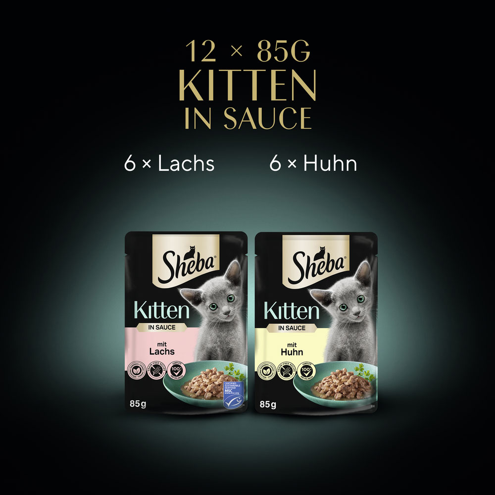 Sheba - Multipack Kitten Feine Vielfalt in Sauce - 4 x 12X85g - 6