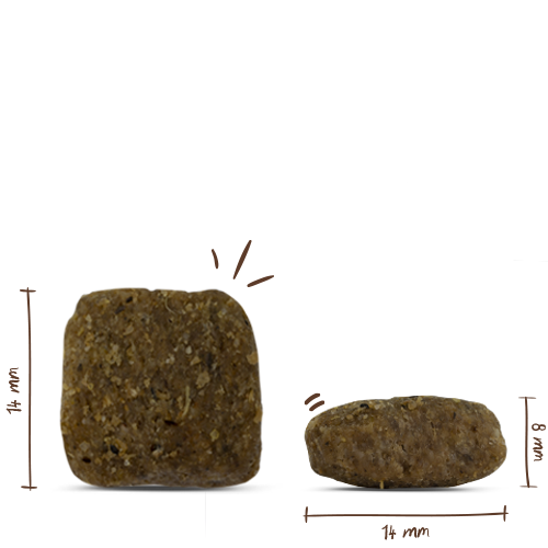 Bosch - Adult Geflügel & Hirse - 1 x 3kg - 2