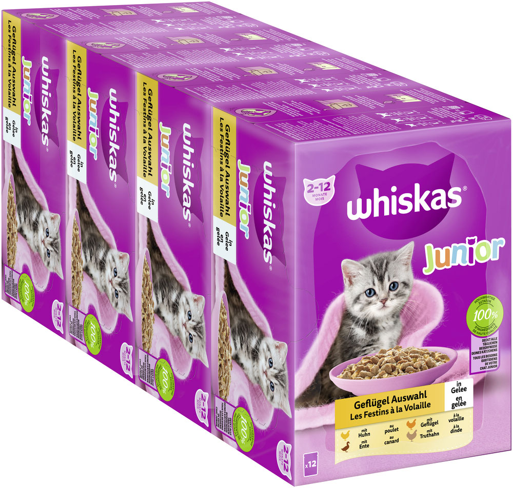 Whiskas - Whiskas Multipack Junior Geflügel Auswahl in Gelee - 1 x 12X85g - 3