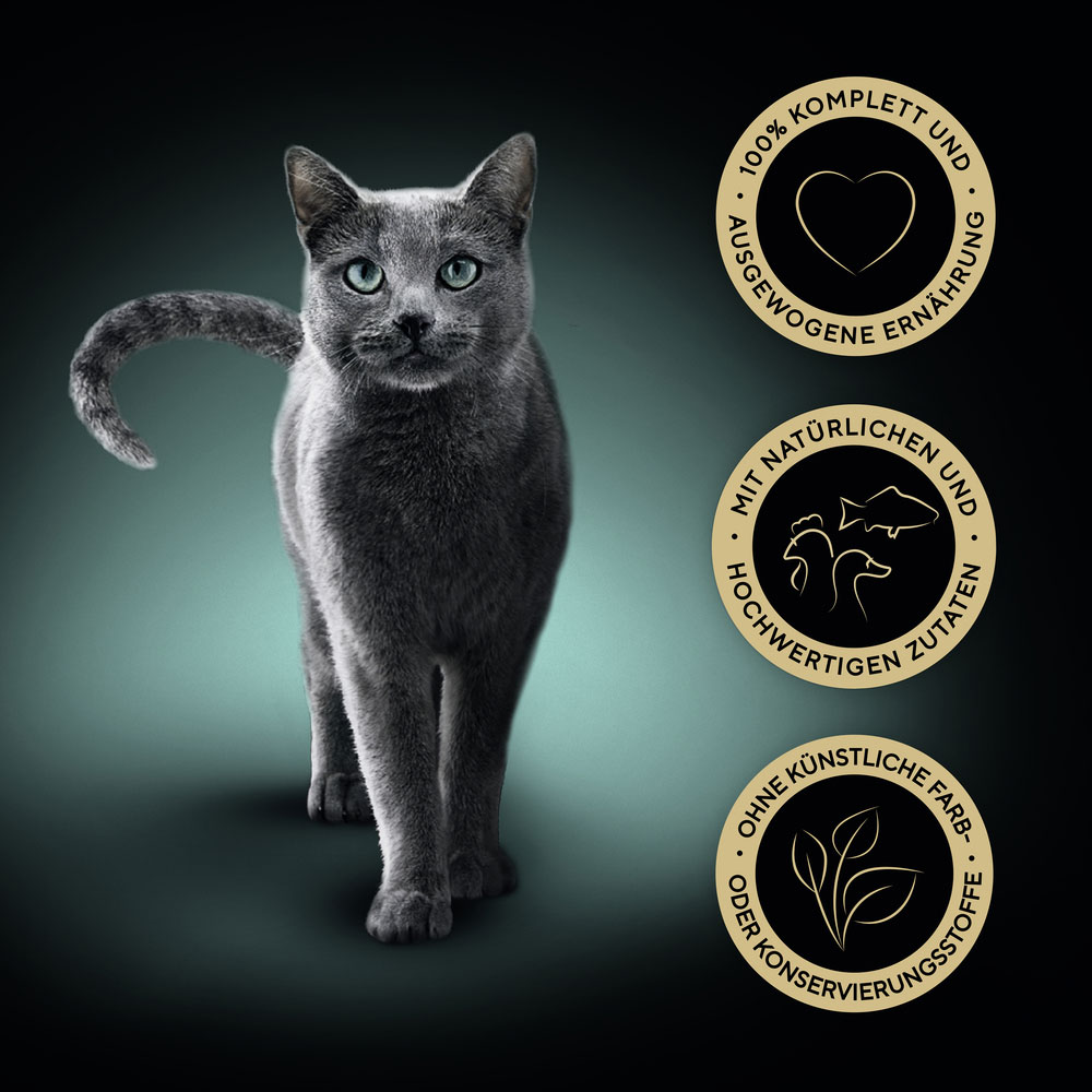 Sheba - Multipack Collection Sauce Lover Feine Vielfalt MSC - 1 x 32X85g - 6