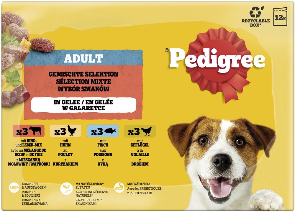 Pedigree - Multipack gemischte Selektion in Gelee - 1 x 12X100g - 4