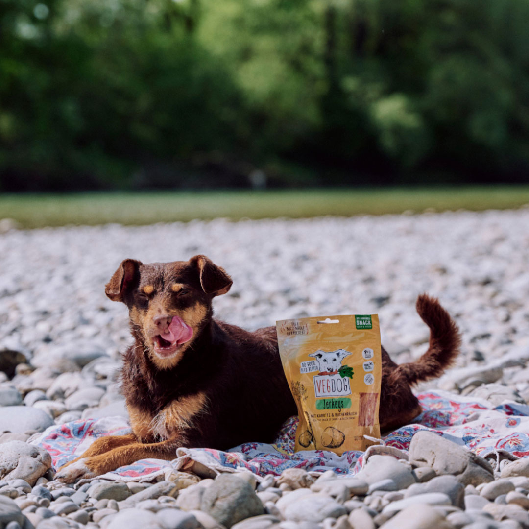 Vegdog - Jerkeys mit Karotte & Buchenrauch - 1 x 80g - 5
