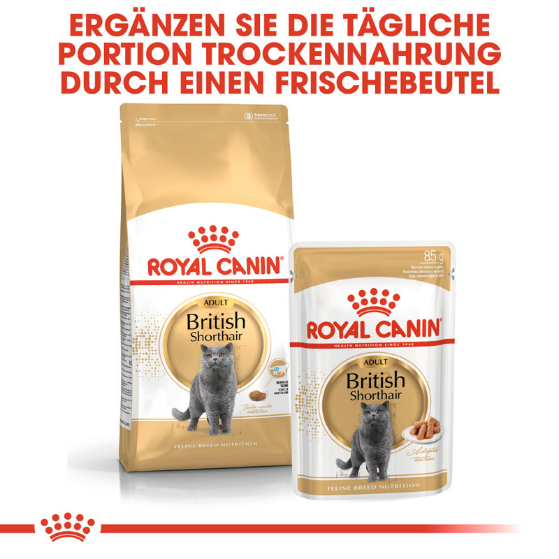 Royal Canin - FBN British Shorthair Adult - 1 x 4kg - 5