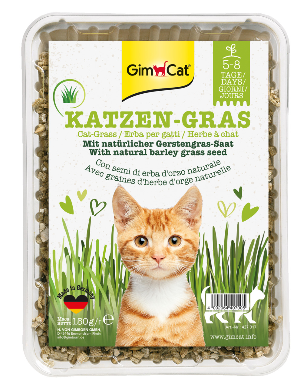 Katzengras