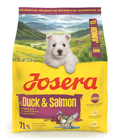 Mini Junior Duck & Salmon