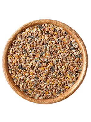 elles - Körnerfutter - 1 x 25kg - 2