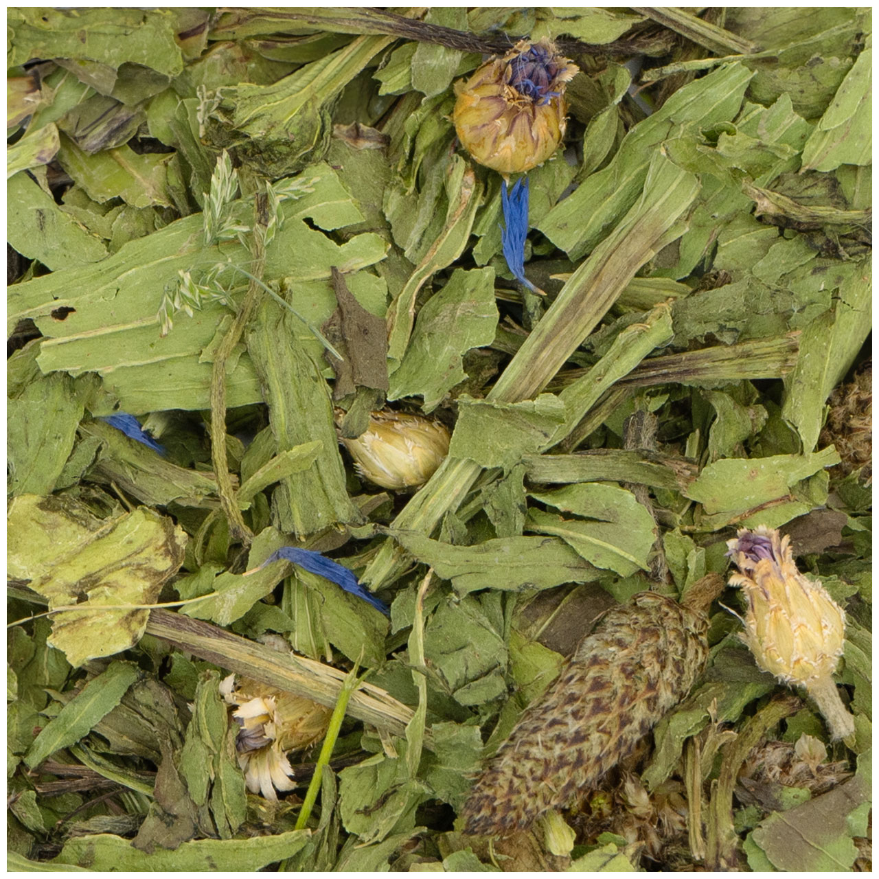 JR Farm - Spitzwegerich - 6 x 100g - 3