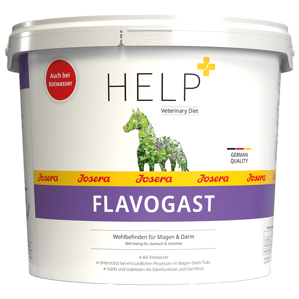 Help FlavoGast