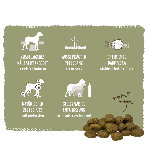 Bosch - Adult Geflügel & Hirse - 1 x 15kg - 4