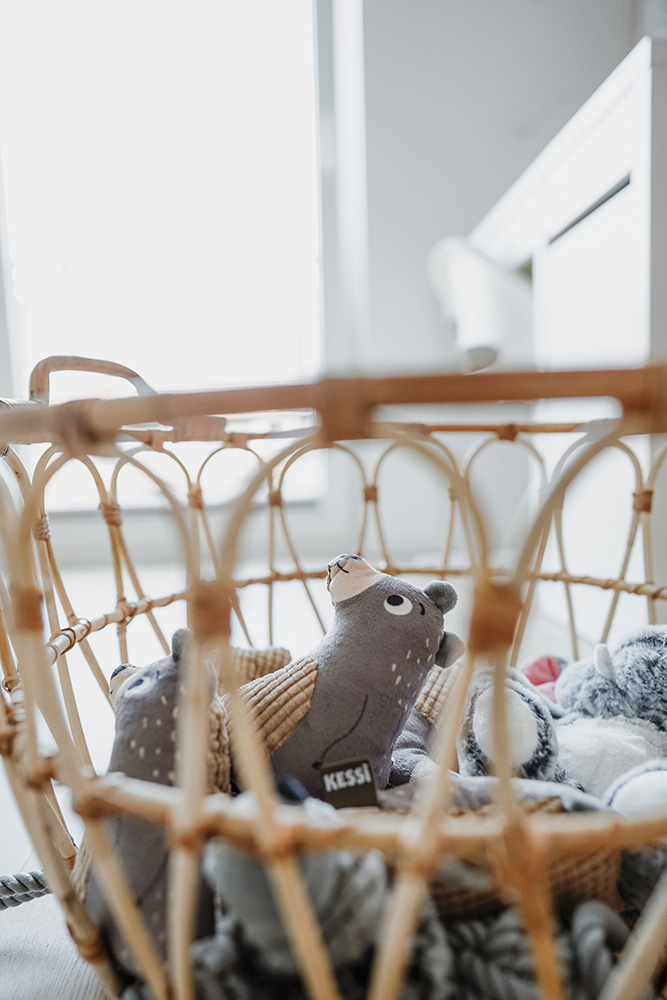 Kessi - Hundespielzeug Bruno - 1 x 1 Stück - 4