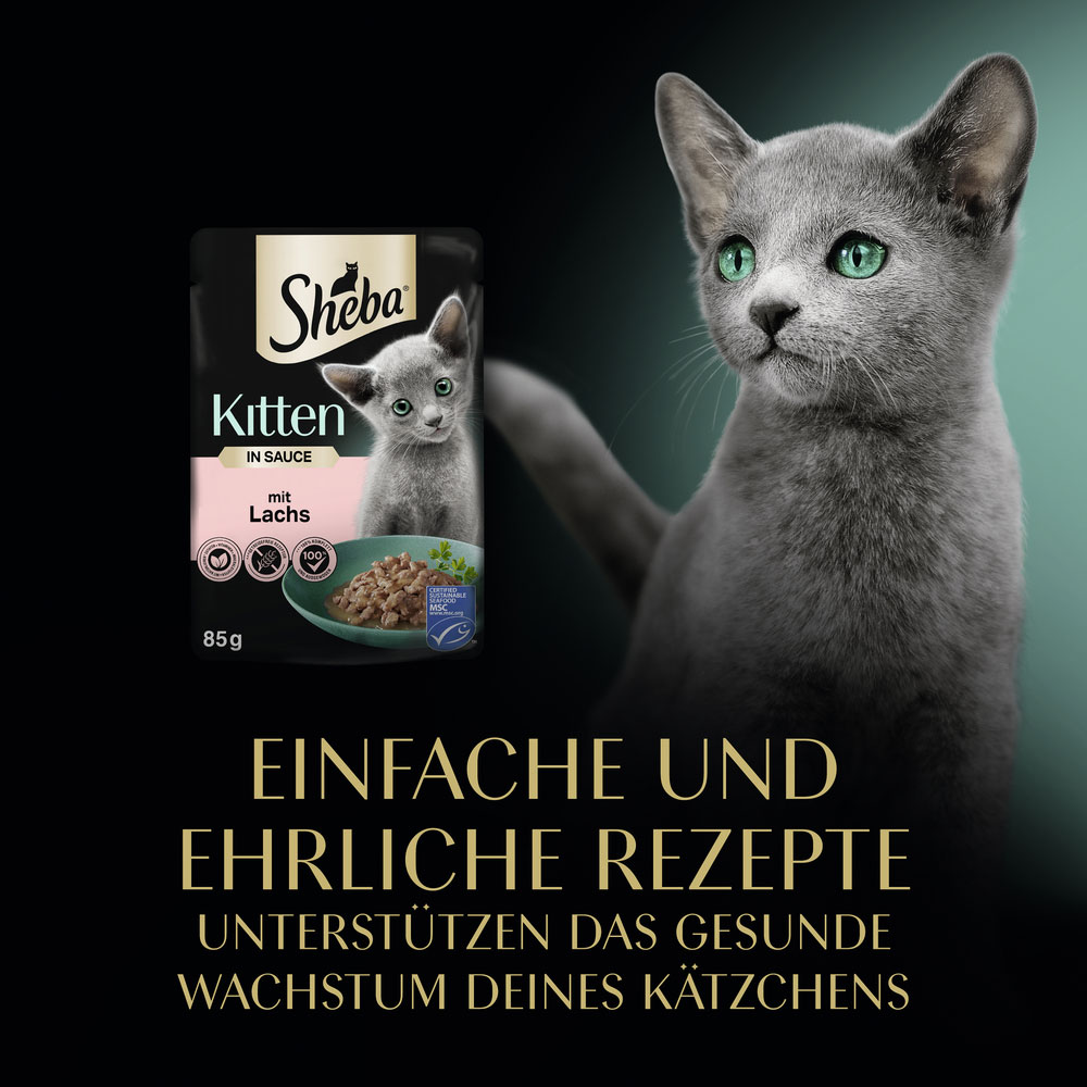 Sheba - Kitten mit Lachs in Sauce - 28 x 85g - 4