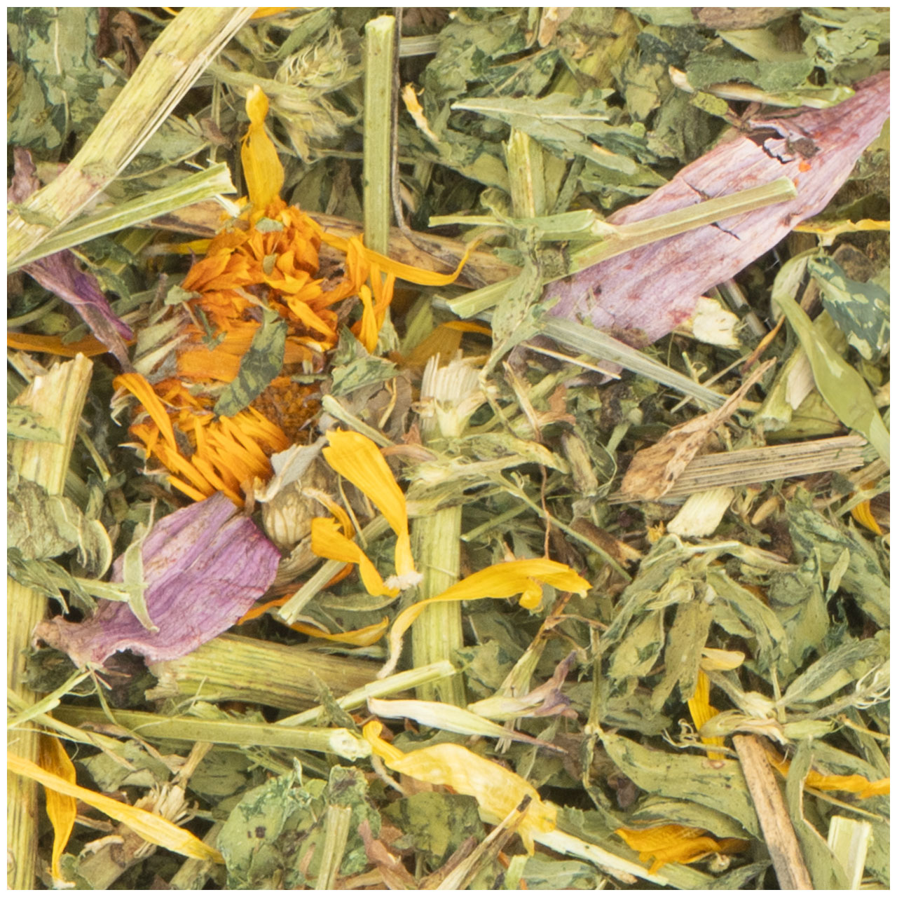 JR Farm - Sonnenhut & Luzerne-Klee - 1 x 100g - 2