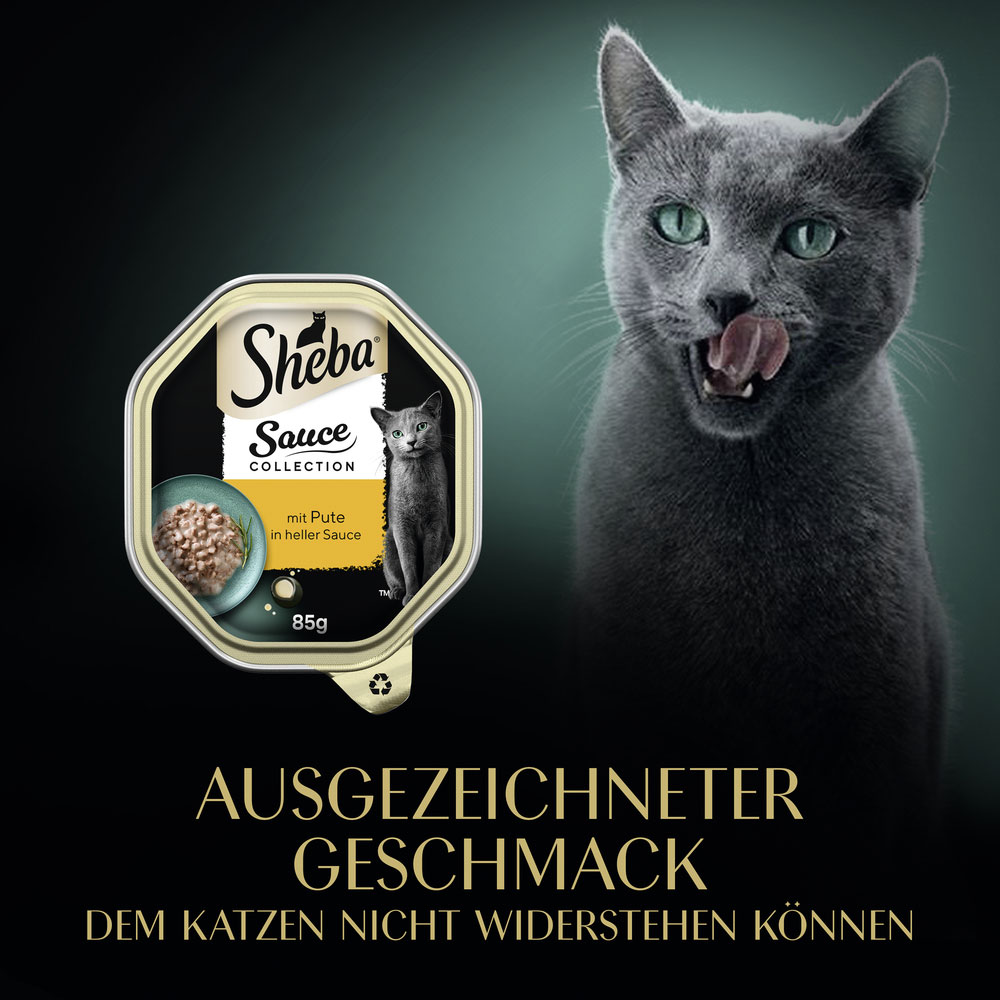 Sheba - Sauce Collection mit Pute in heller Sauce - 22 x 85g - 10