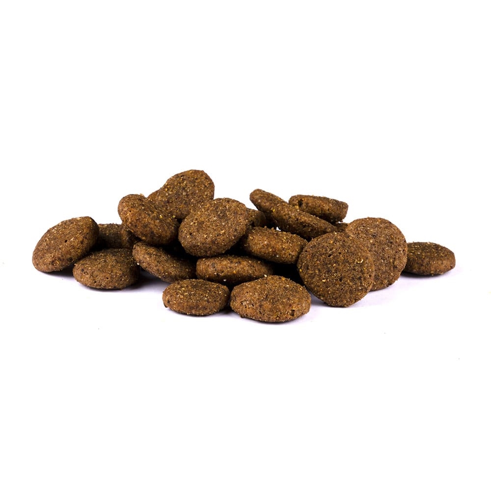 Allco Christopherus - für erwachsene Hunde - 1 x 4kg - 2