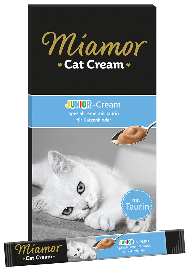 Cat Junior-Cream