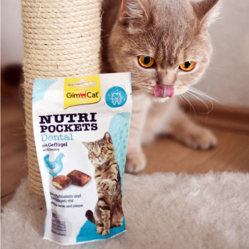 GimCat - Nutri Pocket Dental mit Geflügel - 1 x 60g - 6