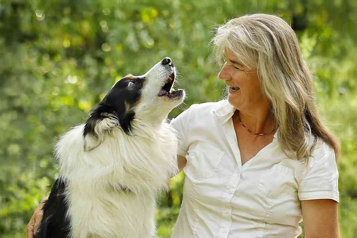 tierärztin-dr-hebeler