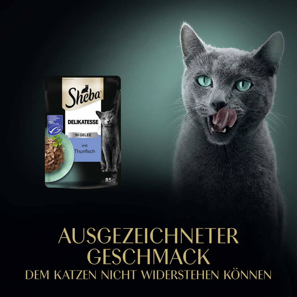 Sheba - Delicatesse in Gelee mit Thunfisch - 28 x 85g - 9