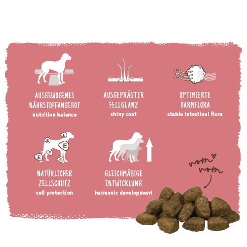 Bosch - Adult Lachs & Kartoffel - 1 x 15kg - 4