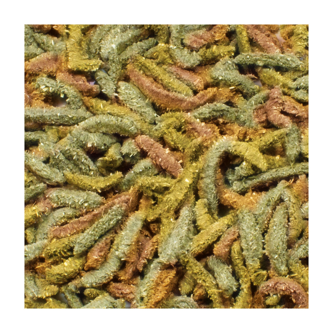 JR Farm - Grainless Health Complete Zwergkaninchen - 1 x 600g - 2