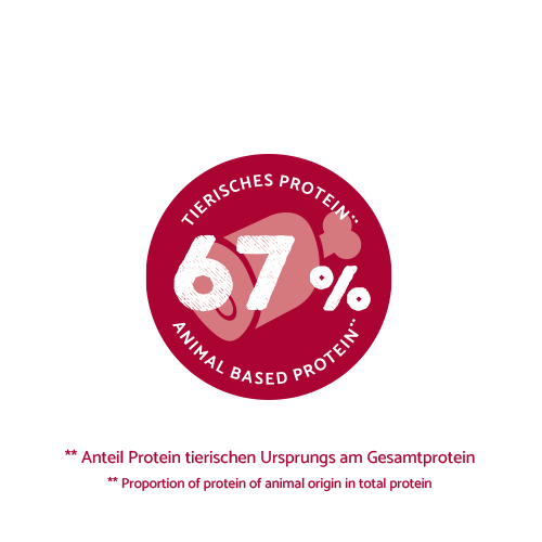 Bosch - Adult Lachs & Kartoffel - 1 x 15kg - 7