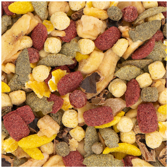 JR Farm - Obst-Salat - 1 x 200g - 2