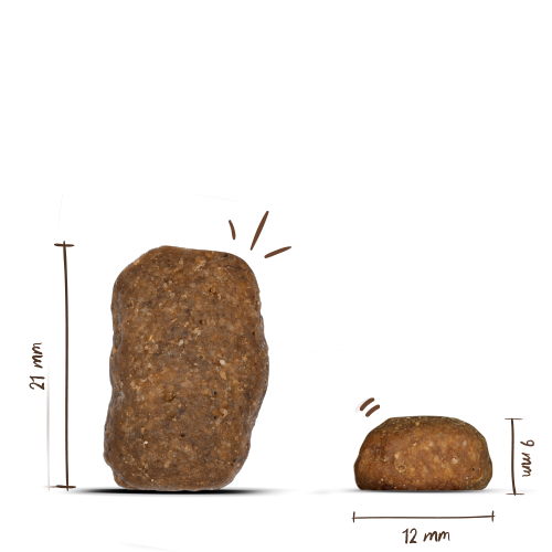 Bosch - Maxi Junior - 1 x 3kg - 2
