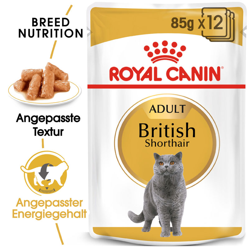 FBN British Shorthair Adult Gravy