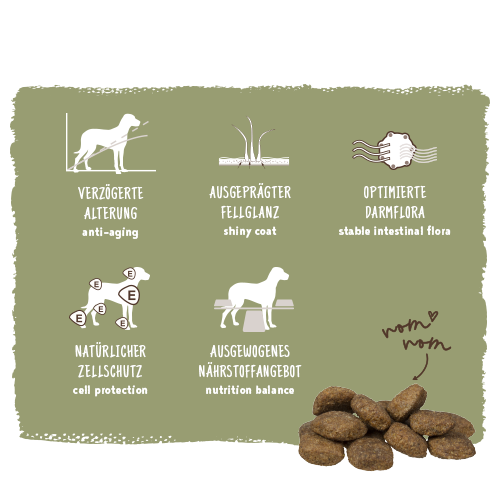 Bosch - Maxi Senior Geflügel & Reis - 1 x 2,5kg - 4