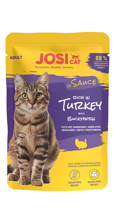 rich in Turkey in Sauce