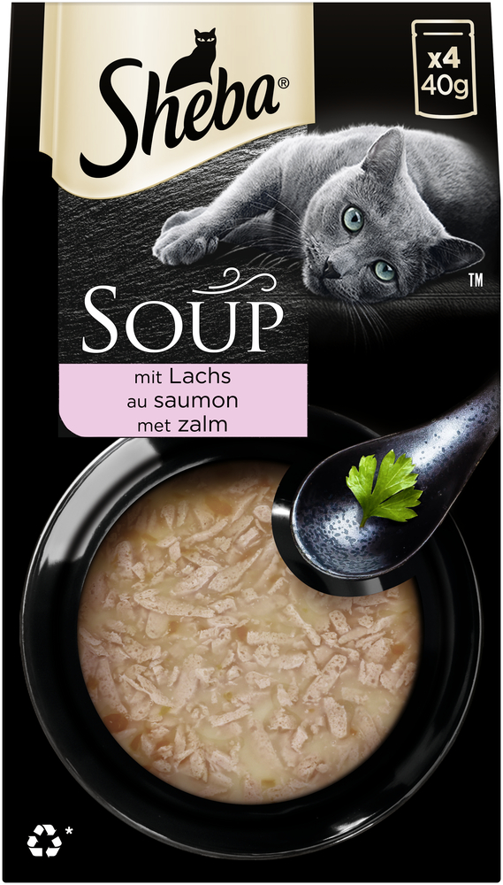Multipack Soup mit Lachs