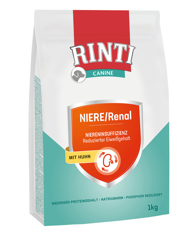 Canine Niere/Renal