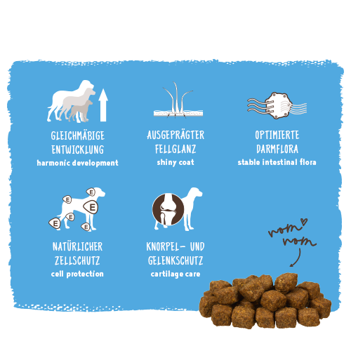 Bosch - Medium Junior - 1 x 15kg - 4