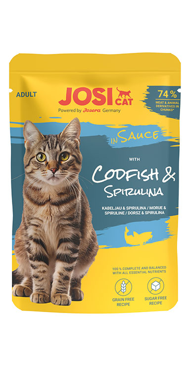 with Codfish in Sauce