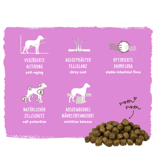 Bosch - Mini Senior - 1 x 2,5kg - 4